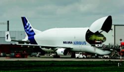 Airbus Beluga en cours de chargement