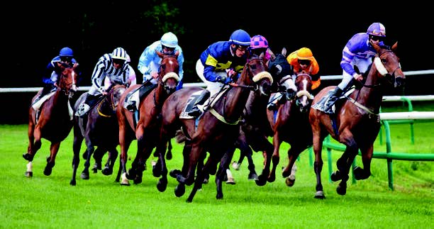 Chevaux de course au galop