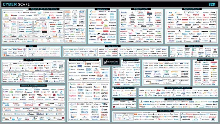 Infographie Cyber Scape 2021 - low def