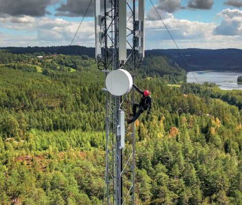 Antenne telecom dans une forêt