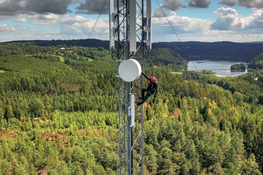 Antenne telecom dans une forêt